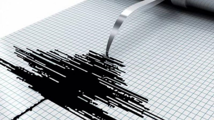 Strong quake hits Bali, triggering panic